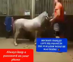 Michael Hanley horse video porn